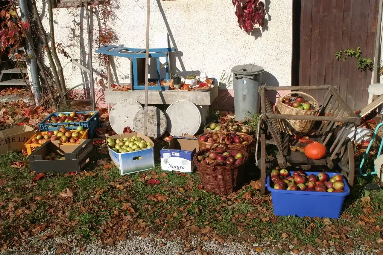 חלבון בכל ארוחה עוזר בבניית שרירים