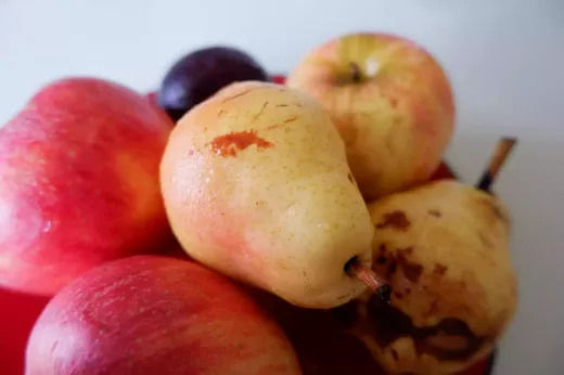 מה לחפש בשייק חלבון