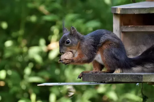 פעילות גופנית קרדיווסקולרית על אופניים היא הטובה ביותר